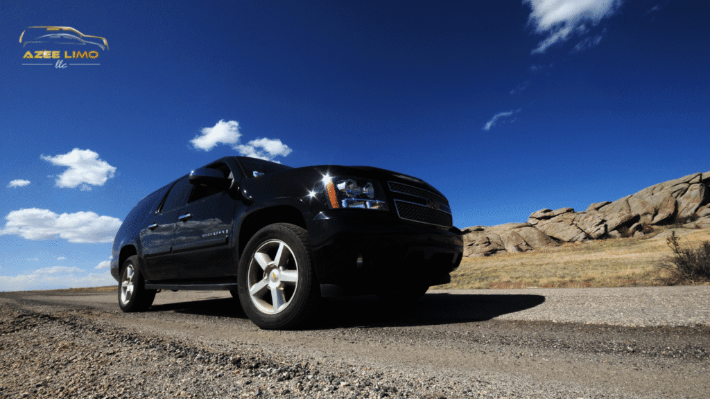 Professional Chauffeur Service