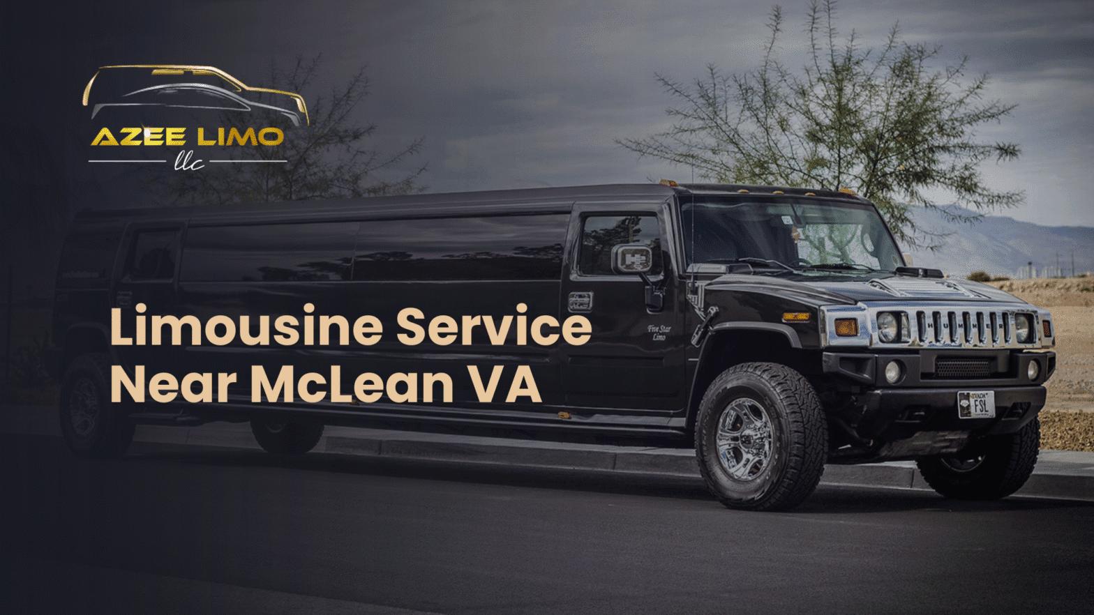 Limousine Service Near McLean VA – Azee Limo Services